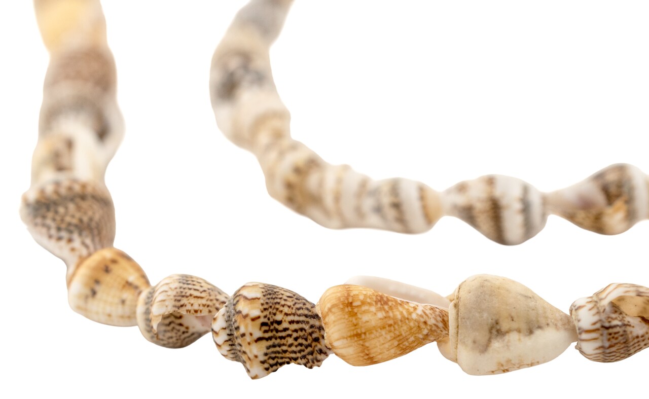 The Bead Chest Sunset Shore Natural Shell Beads: Brown Unusual Shape Genuine Beach-Inspired Full Strand